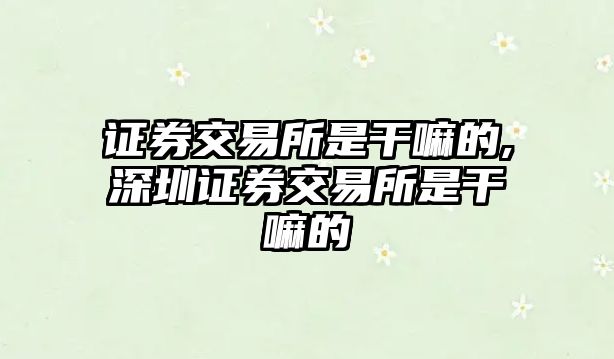 證券交易所是干嘛的,深圳證券交易所是干嘛的