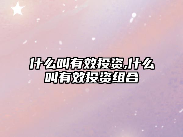 什么叫有效投資,什么叫有效投資組合