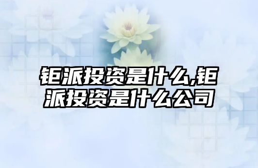 鉅派投資是什么,鉅派投資是什么公司