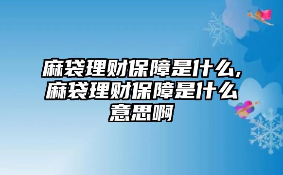 麻袋理財(cái)保障是什么,麻袋理財(cái)保障是什么意思啊