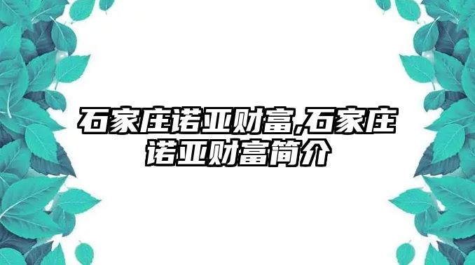 石家莊諾亞財(cái)富,石家莊諾亞財(cái)富簡(jiǎn)介