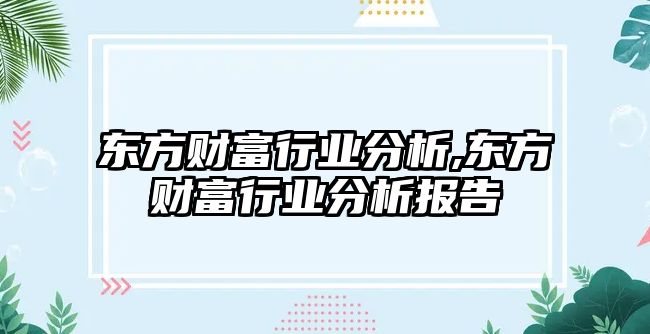 東方財(cái)富行業(yè)分析,東方財(cái)富行業(yè)分析報(bào)告