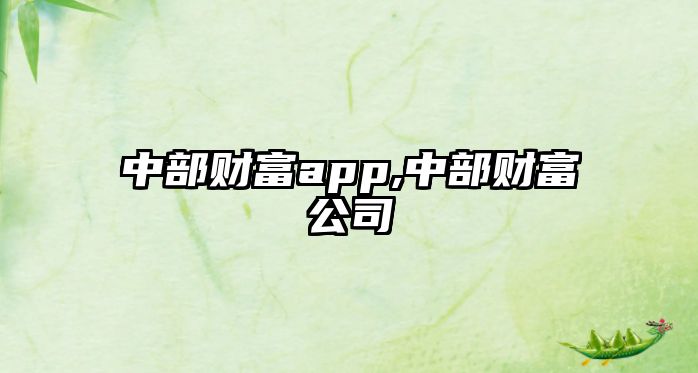 中部財富app,中部財富公司