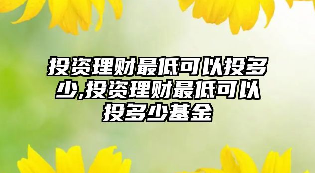 投資理財最低可以投多少,投資理財最低可以投多少基金