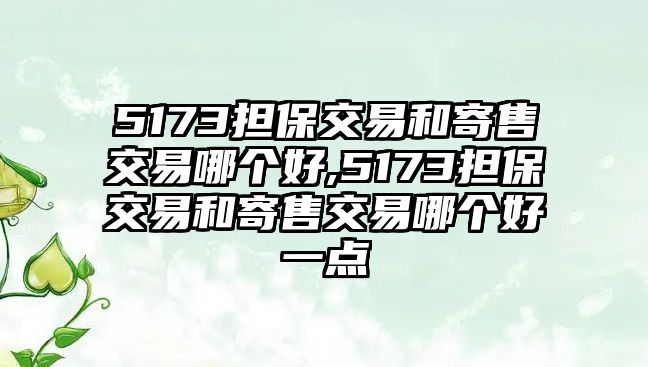 5173擔(dān)保交易和寄售交易哪個(gè)好,5173擔(dān)保交易和寄售交易哪個(gè)好一點(diǎn)