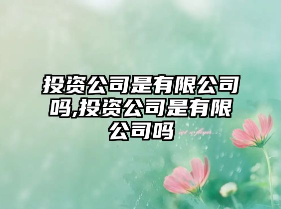 投資公司是有限公司嗎,投資公司是有限公司嗎