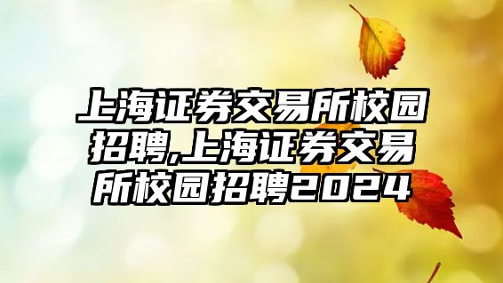 上海證券交易所校園招聘,上海證券交易所校園招聘2024