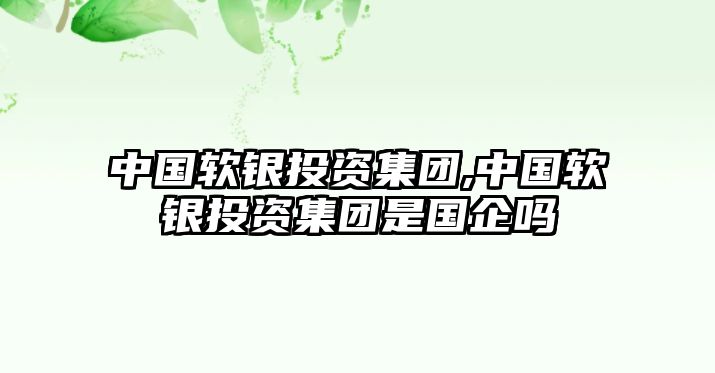 中國軟銀投資集團,中國軟銀投資集團是國企嗎