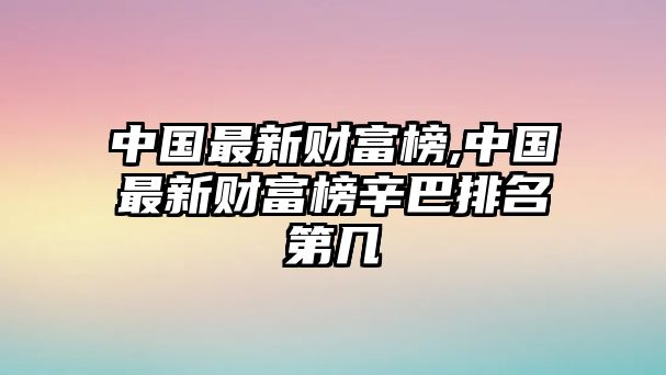 中國最新財富榜,中國最新財富榜辛巴排名第幾