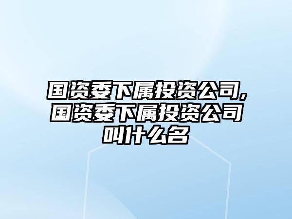 國資委下屬投資公司,國資委下屬投資公司叫什么名