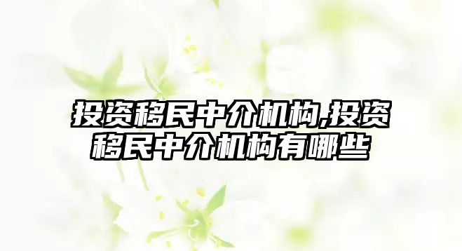 投資移民中介機構(gòu),投資移民中介機構(gòu)有哪些