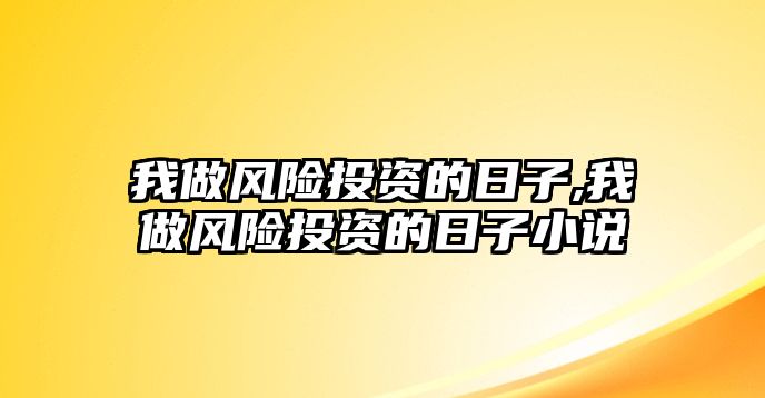 我做風險投資的日子,我做風險投資的日子小說