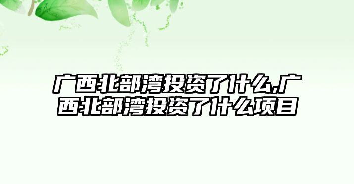 廣西北部灣投資了什么,廣西北部灣投資了什么項(xiàng)目