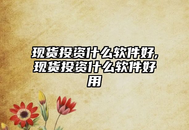 現(xiàn)貨投資什么軟件好,現(xiàn)貨投資什么軟件好用