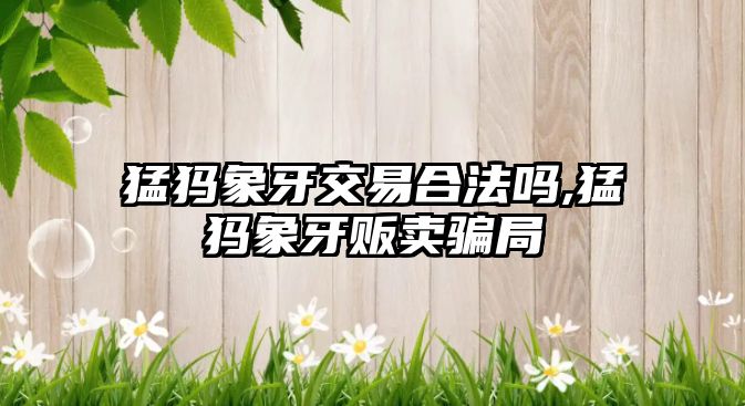 猛犸象牙交易合法嗎,猛犸象牙販賣騙局