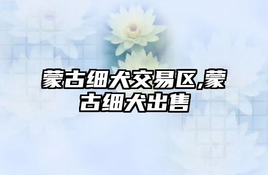 蒙古細(xì)犬交易區(qū),蒙古細(xì)犬出售