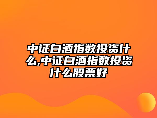 中證白酒指數(shù)投資什么,中證白酒指數(shù)投資什么股票好