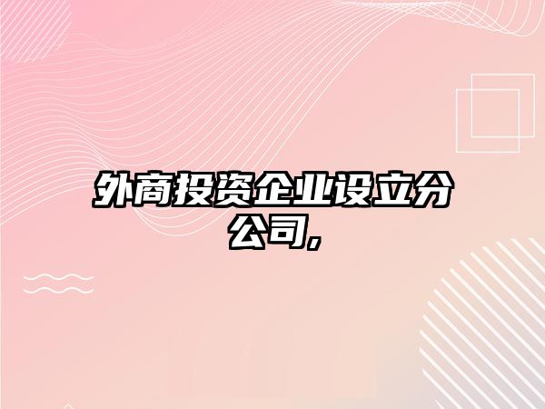 外商投資企業(yè)設(shè)立分公司,