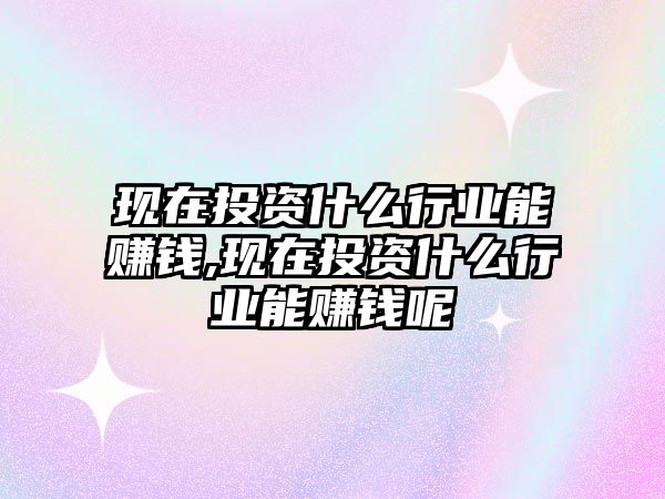 現(xiàn)在投資什么行業(yè)能賺錢,現(xiàn)在投資什么行業(yè)能賺錢呢