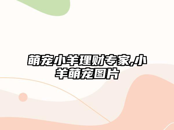 萌寵小羊理財(cái)專(zhuān)家,小羊萌寵圖片