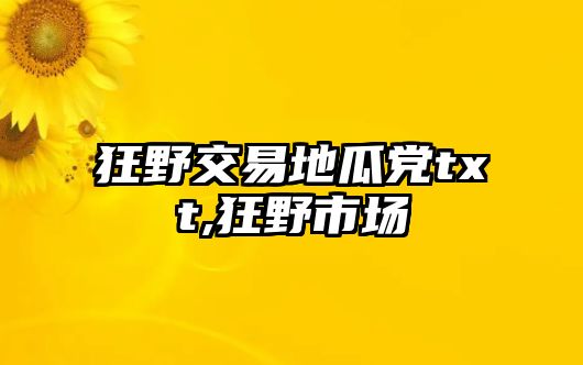 狂野交易地瓜黨txt,狂野市場