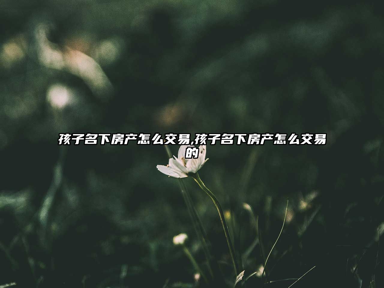 孩子名下房產(chǎn)怎么交易,孩子名下房產(chǎn)怎么交易的