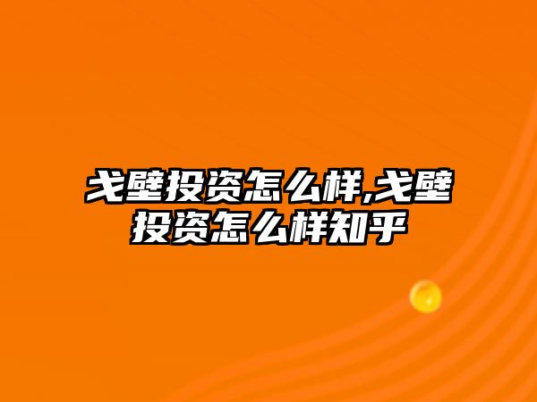 戈壁投資怎么樣,戈壁投資怎么樣知乎