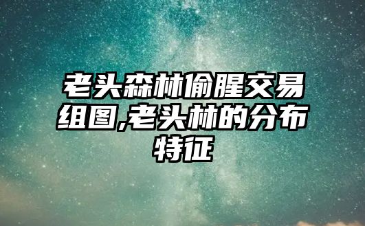 老頭森林偷腥交易組圖,老頭林的分布特征