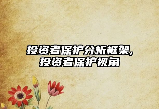 投資者保護(hù)分析框架,投資者保護(hù)視角