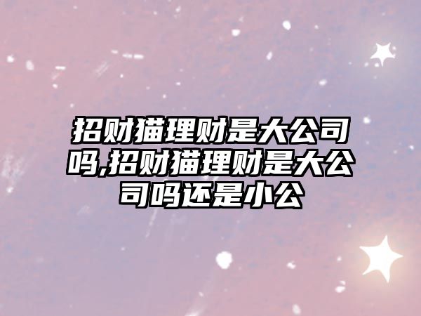 招財貓理財是大公司嗎,招財貓理財是大公司嗎還是小公