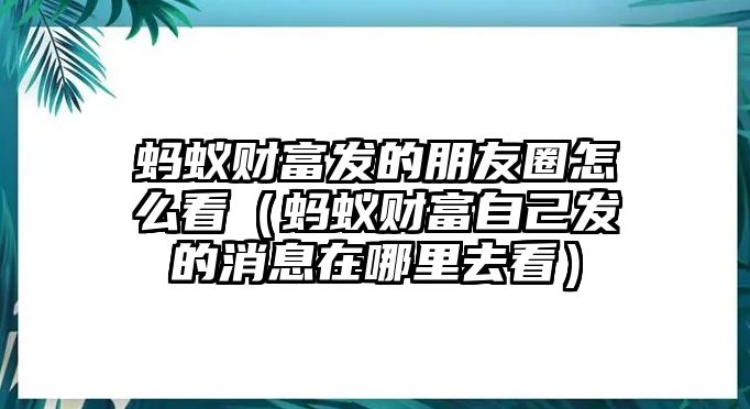 螞蟻財富發(fā)的朋友圈怎么看（螞蟻財富自己發(fā)的消息在哪里去看）