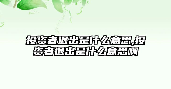 投資者退出是什么意思,投資者退出是什么意思啊