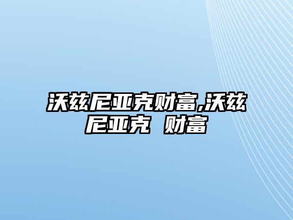 沃茲尼亞克財富,沃茲尼亞克 財富