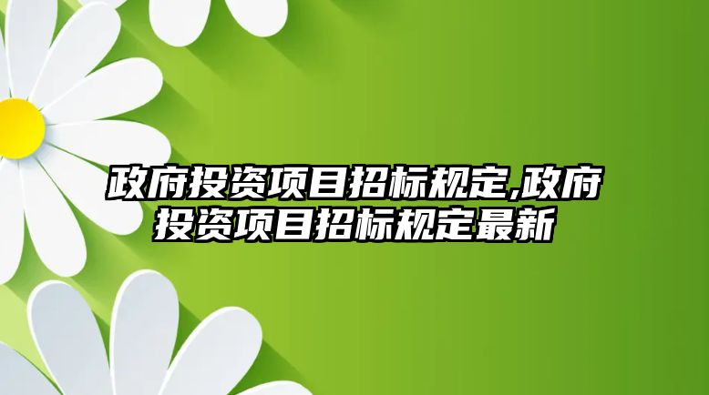 政府投資項目招標規(guī)定,政府投資項目招標規(guī)定最新