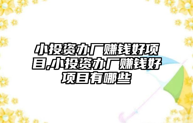 小投資辦廠賺錢好項目,小投資辦廠賺錢好項目有哪些