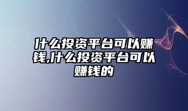 什么投資平臺(tái)可以賺錢,什么投資平臺(tái)可以賺錢的