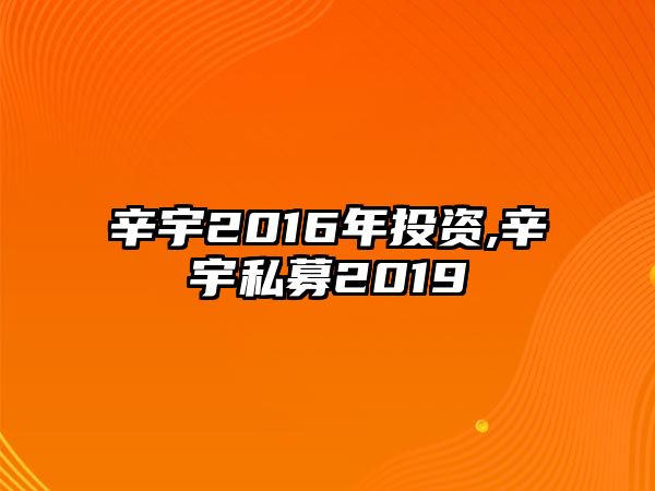 辛宇2016年投資,辛宇私募2019