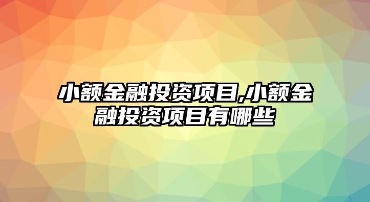 小額金融投資項(xiàng)目,小額金融投資項(xiàng)目有哪些