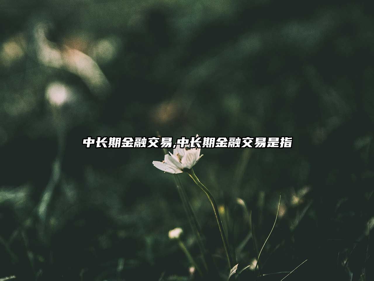 中長(zhǎng)期金融交易,中長(zhǎng)期金融交易是指