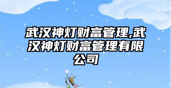 武漢神燈財富管理,武漢神燈財富管理有限公司