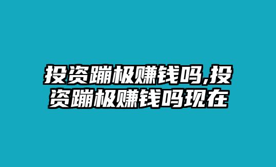 投資蹦極賺錢嗎,投資蹦極賺錢嗎現(xiàn)在