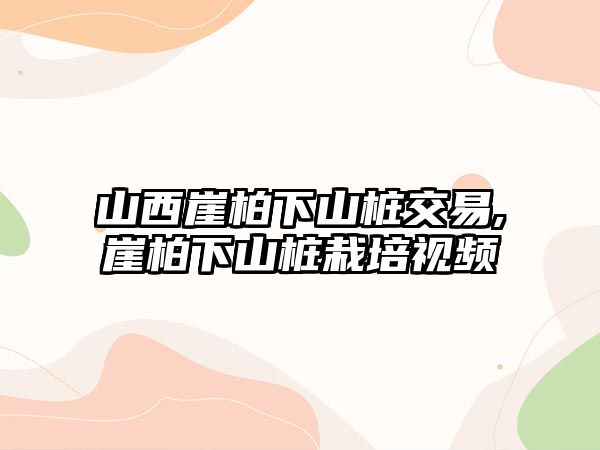 山西崖柏下山樁交易,崖柏下山樁栽培視頻