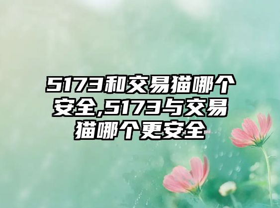 5173和交易貓哪個安全,5173與交易貓哪個更安全