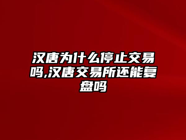 漢唐為什么停止交易嗎,漢唐交易所還能復(fù)盤嗎