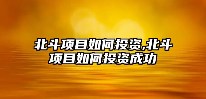 北斗項目如何投資,北斗項目如何投資成功