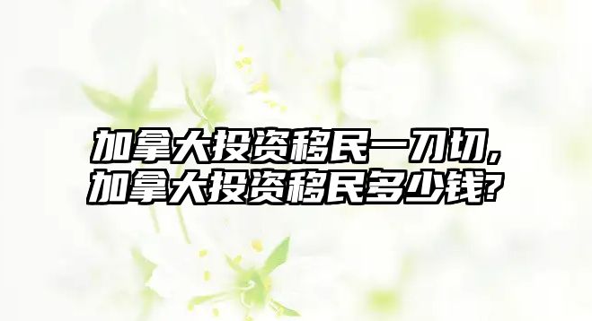 加拿大投資移民一刀切,加拿大投資移民多少錢?