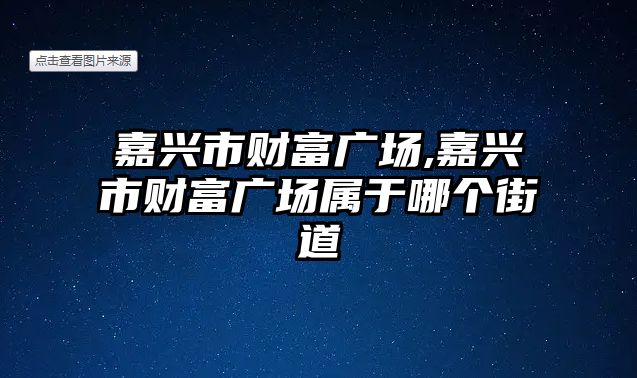 嘉興市財富廣場,嘉興市財富廣場屬于哪個街道