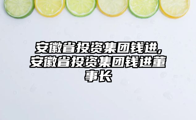 安徽省投資集團錢進,安徽省投資集團錢進董事長