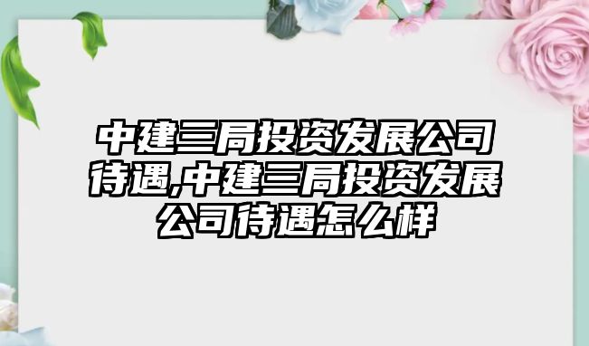 中建三局投資發(fā)展公司待遇,中建三局投資發(fā)展公司待遇怎么樣