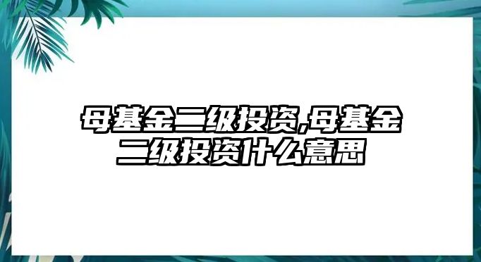 母基金二級投資,母基金二級投資什么意思